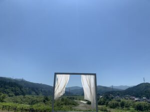 479F0DD9-6B57-427B-BD95-2F763A6E2801_1_105_c